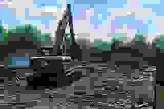 Спил деревьев в Кондопоге - цены от 522 рублей | Сварной-Кнп 2025 г. Карелии